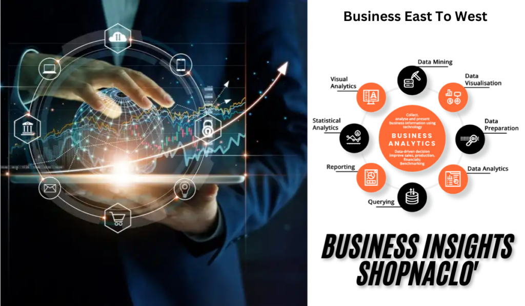 business insight shopnaclo
