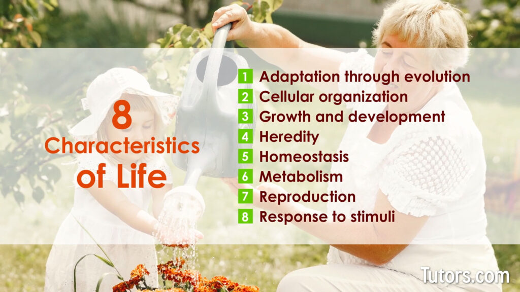 what are the characteristics of life