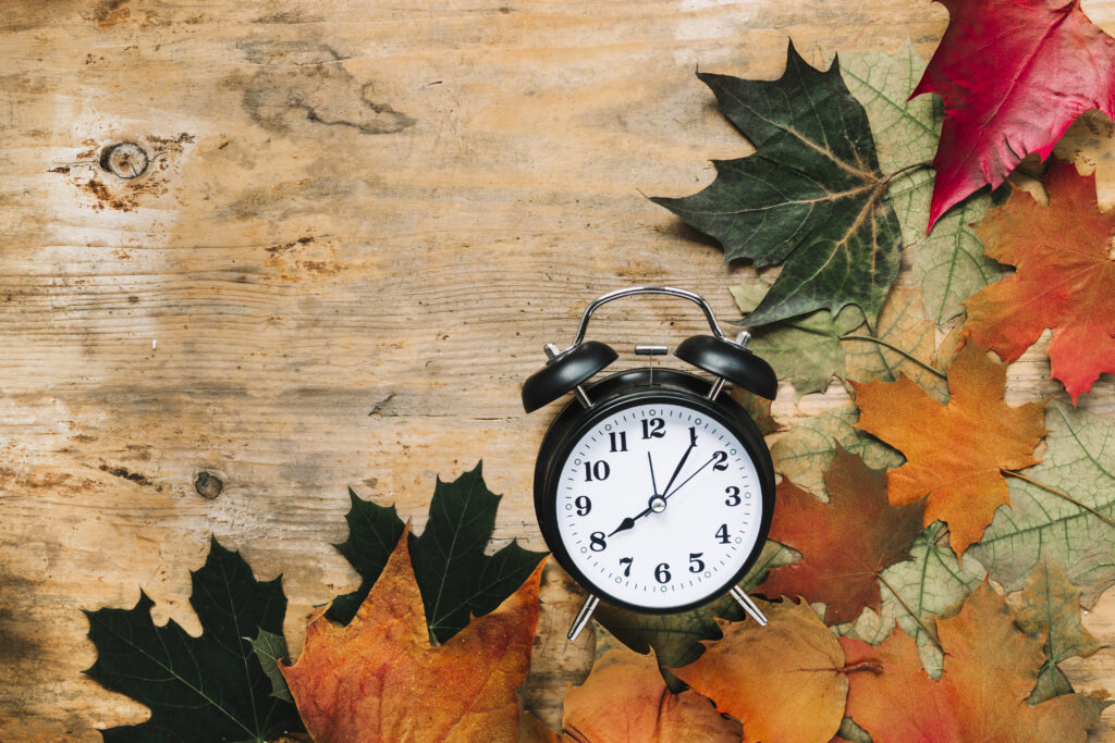 Daylight Savings 2024 November